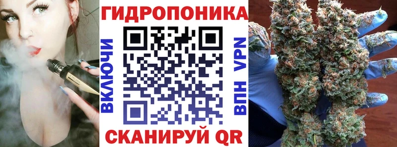 продажа наркотиков  Лениногорск  Бошки марихуана гибрид 